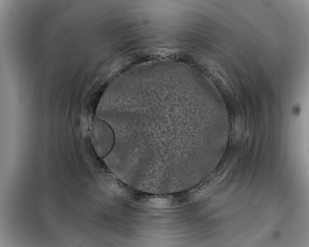 X0000097950236200804071013