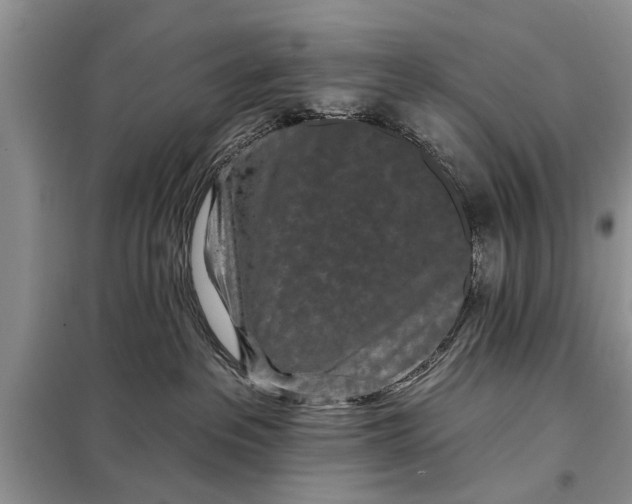 X0000097950237200804071013