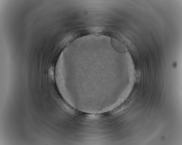 X0000097950238200804071013