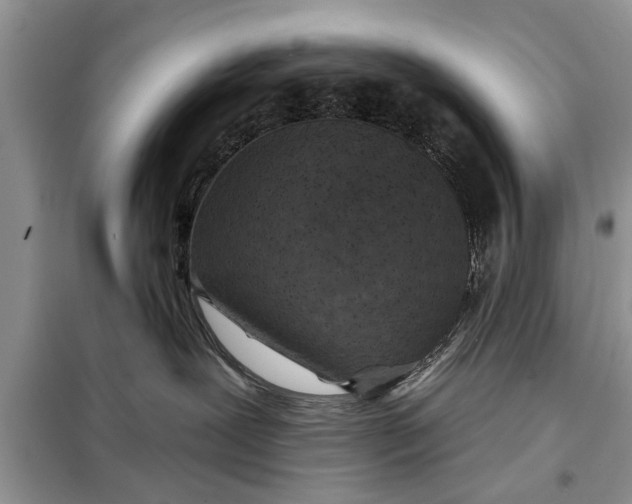 X0000097950239200804071013