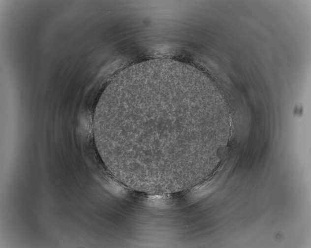 X0000097950240200804071013