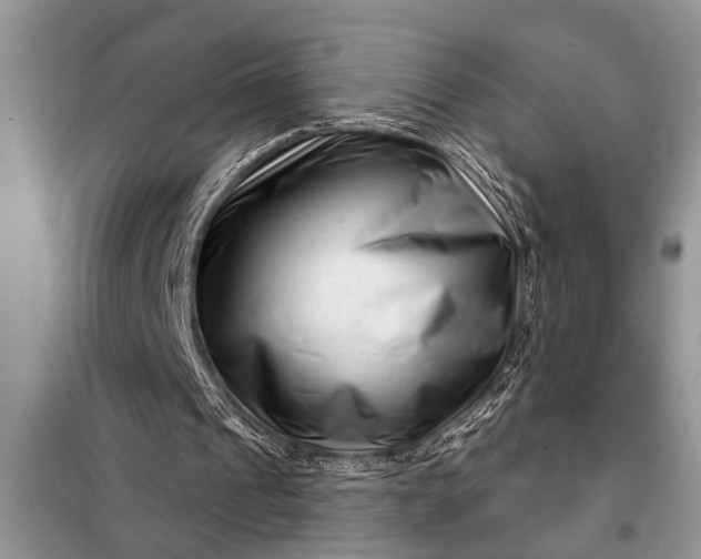 X0000097950241200804071012