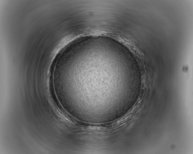 X0000097950242200804071012