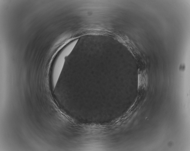 X0000097950243200804071012