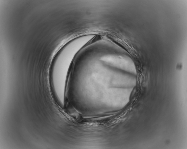 X0000097950244200804071012