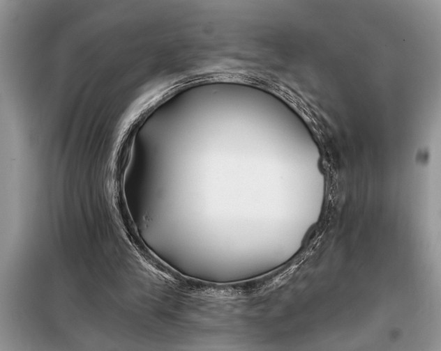 X0000097950245200804071012