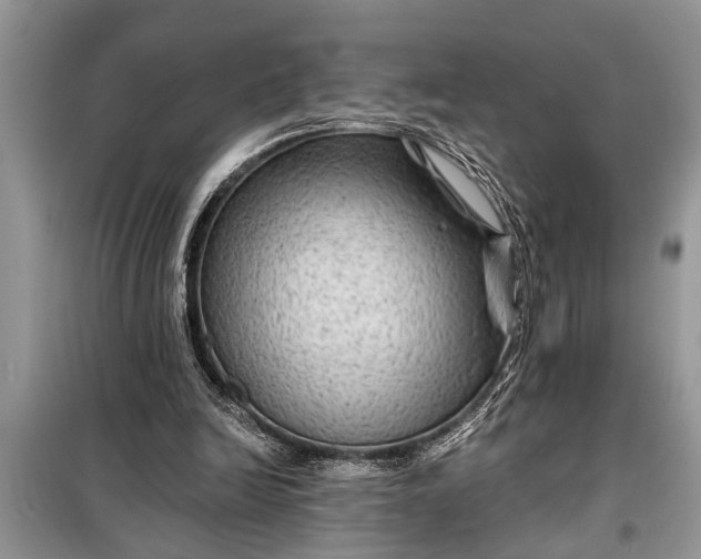 X0000097950246200804071012