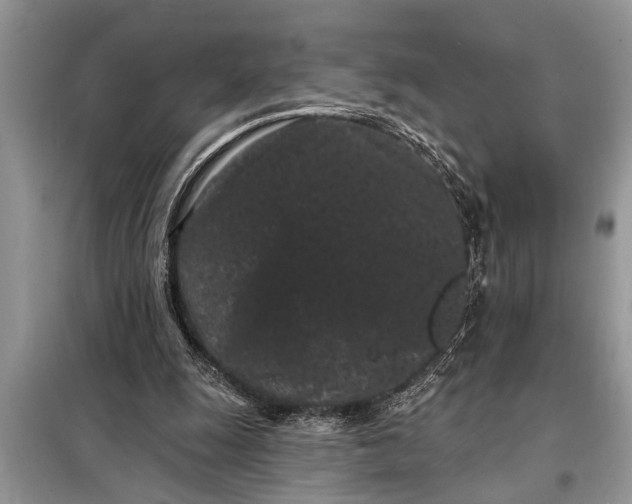 X0000097950247200804071012
