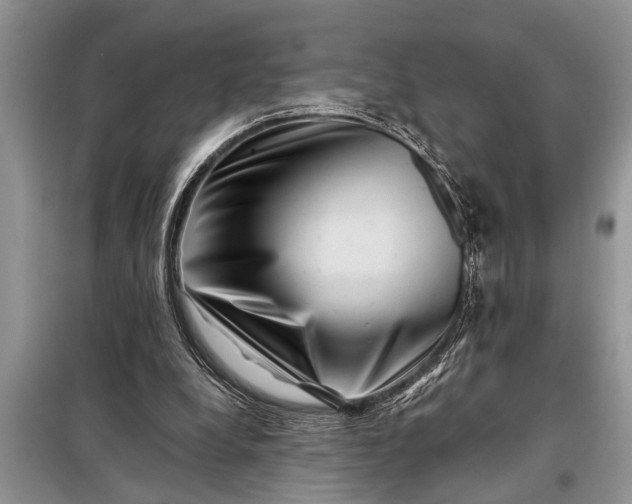X0000097950248200804071012
