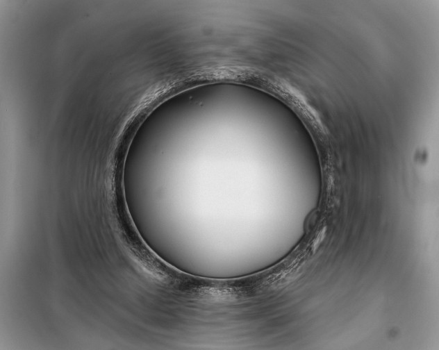 X0000097950250200804071012