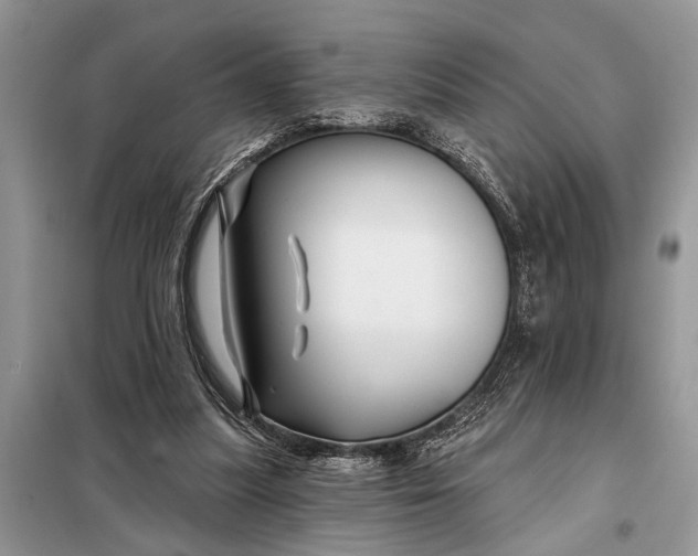 X0000097950251200804071012