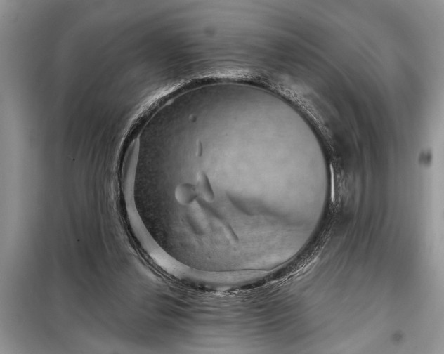 X0000097950252200804071012