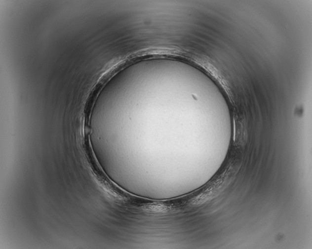 X0000097950253200804071012