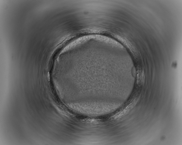 X0000097950254200804071012