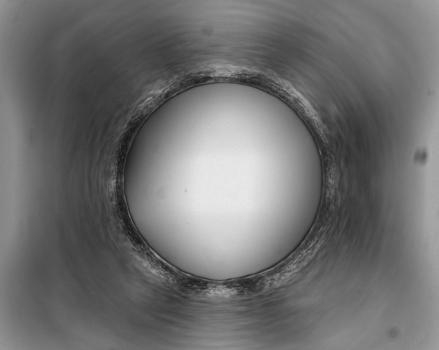 X0000097950257200804071012