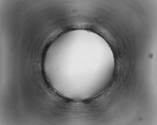 X0000097950258200804071012