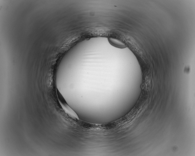 X0000097950259200804071012