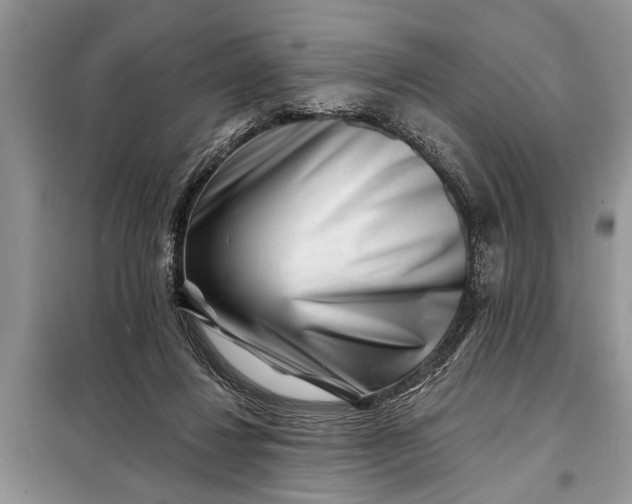 X0000097950260200804071012