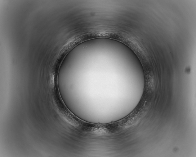 X0000097950262200804071013