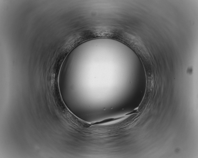 X0000097950263200804071013