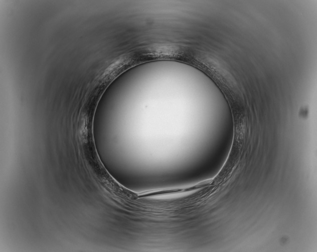 X0000097950264200804071013