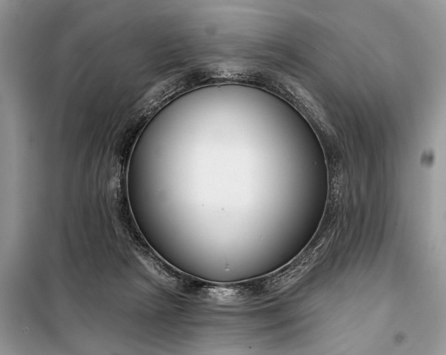 X0000097950265200804071013