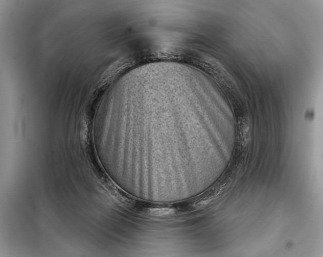X0000097950266200804071013