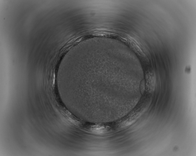 X0000097950267200804071013