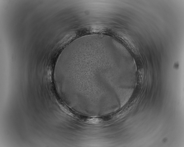 X0000097950269200804071013