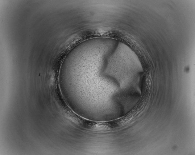 X0000097950270200804071013