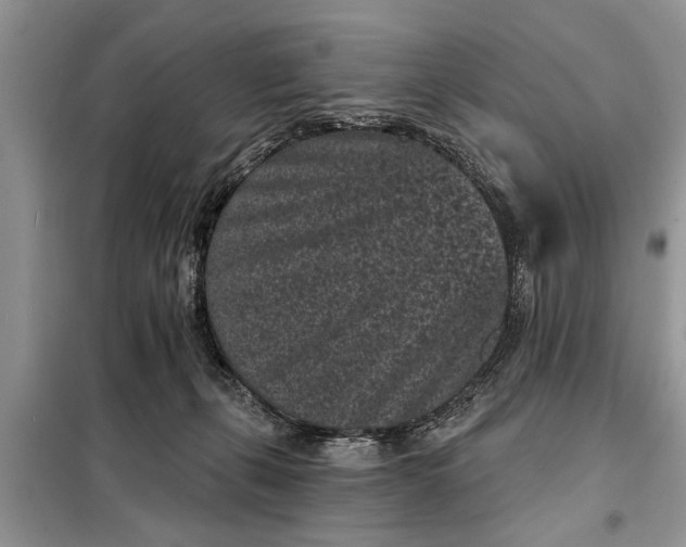 X0000097950271200804071013