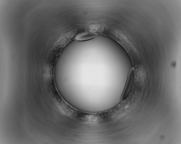 X0000097950272200804071013