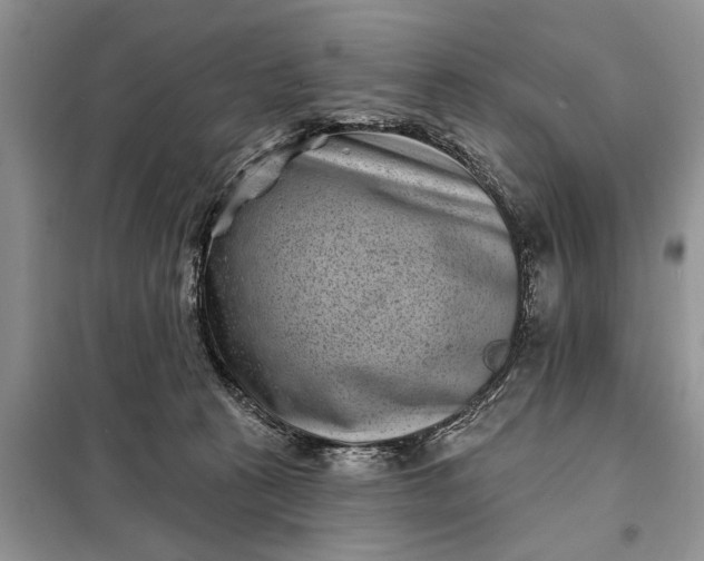 X0000097950273200804071013