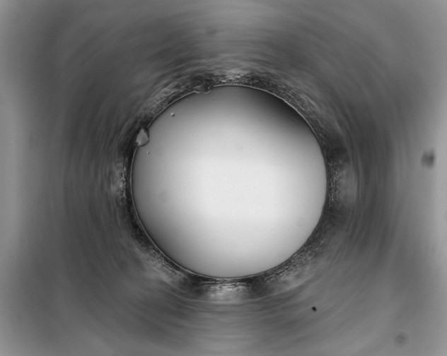 X0000097950274200804071013