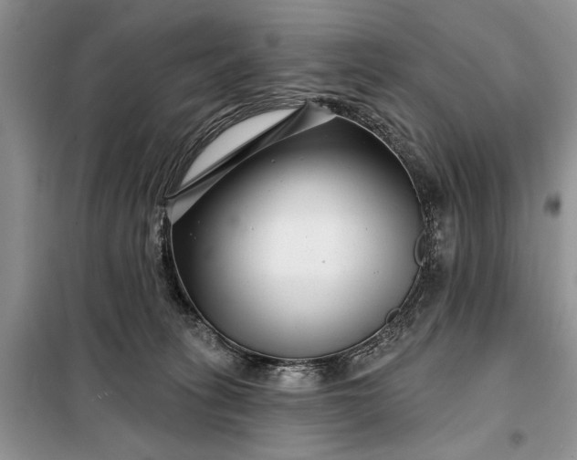 X0000097950275200804071013
