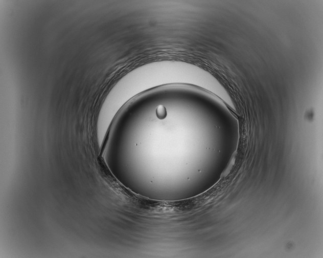 X0000097950276200804071013