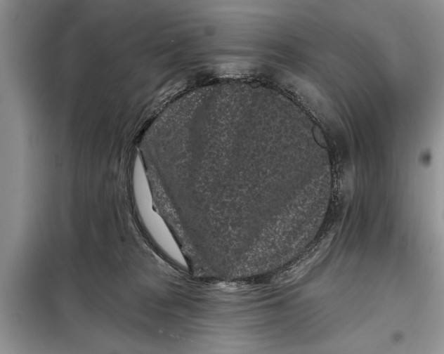 X0000097950277200804071013