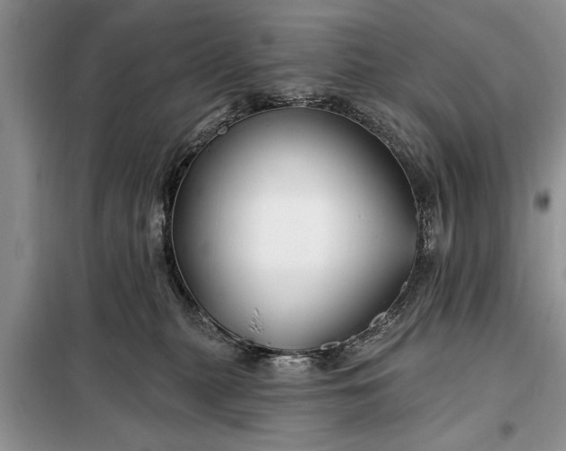X0000097950279200804071013