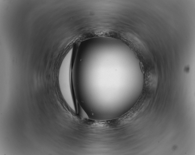 X0000097950280200804071013