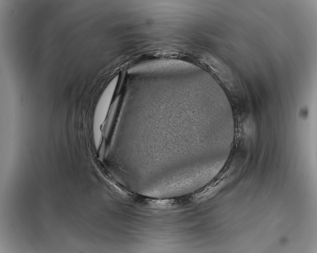 X0000097950281200804071013