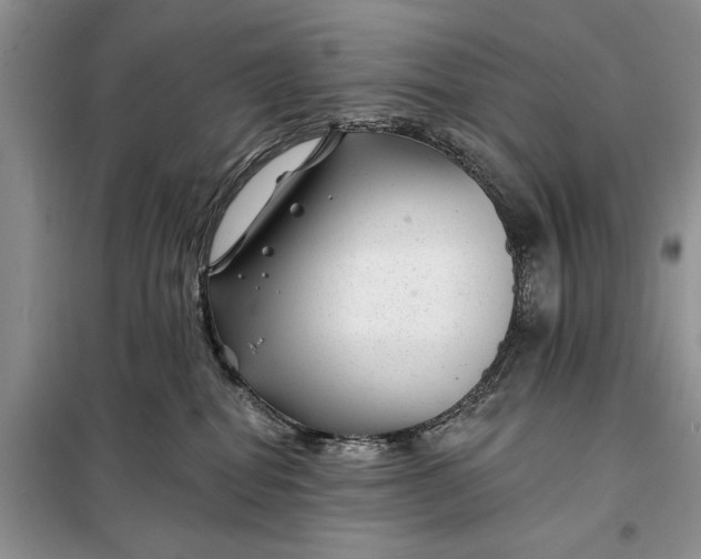 X0000097950282200804071013