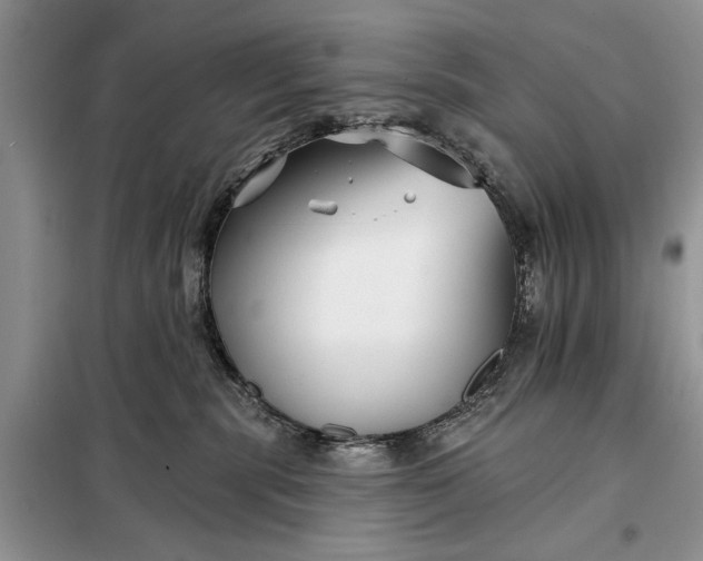 X0000097950283200804071013