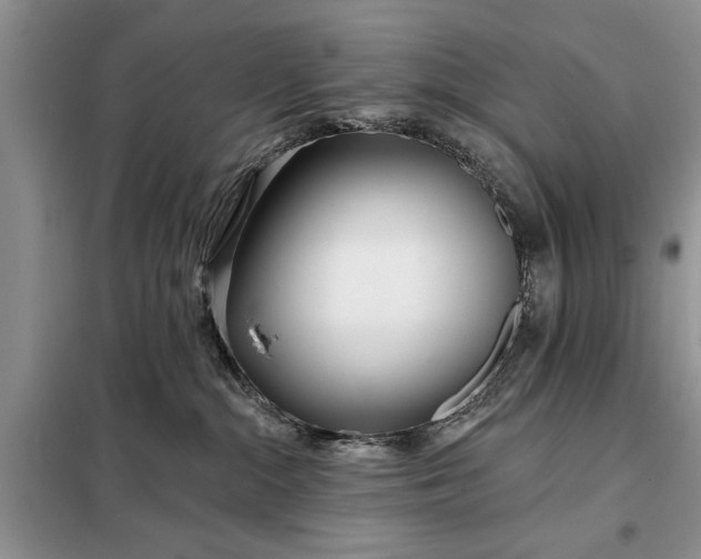 X0000097950284200804071013