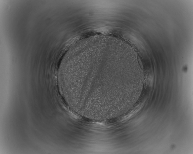 X0000097950285200804071013
