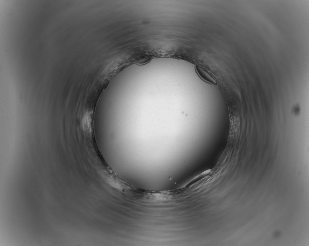 X0000097950286200804071013