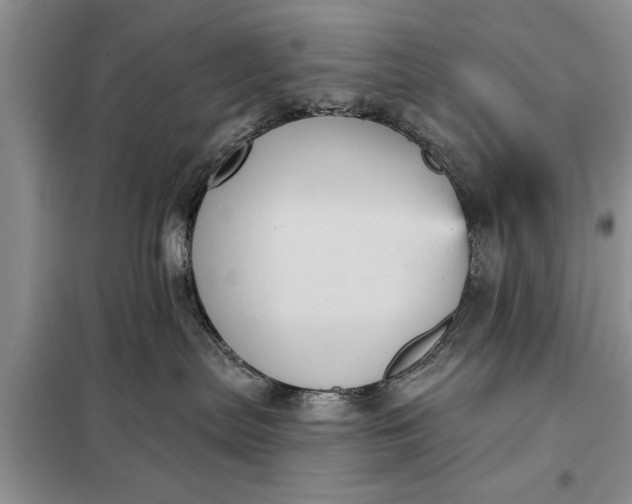 X0000097950287200804071013