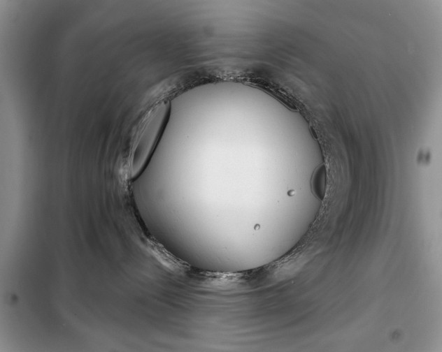 X0000097950288200804071013