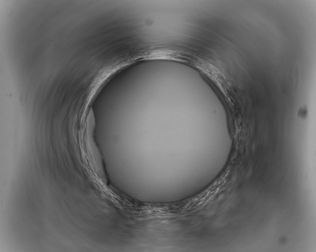 X0000097950289200804071012