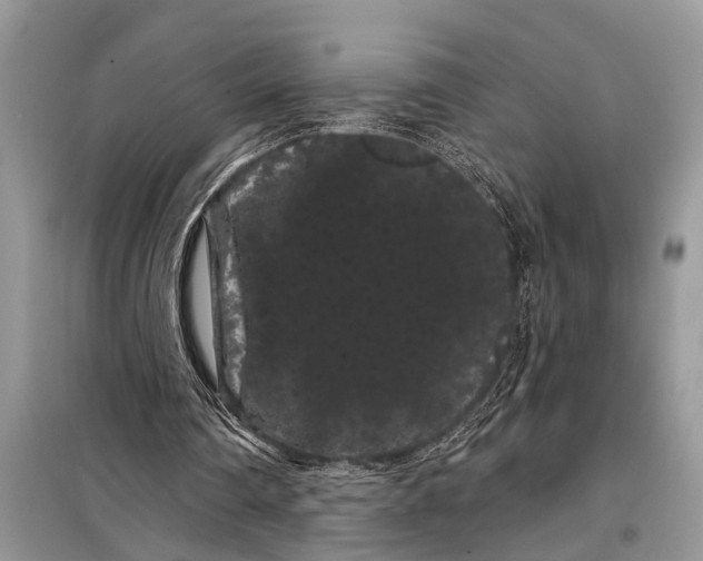 X0000097950290200804071012