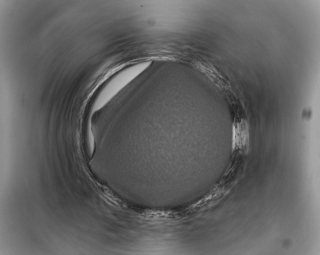 X0000097950291200804071012